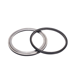 XY型浮動密封環