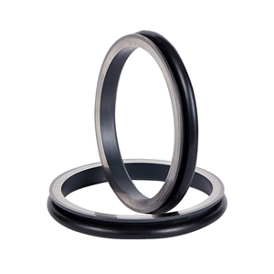 Ordinary floating seals